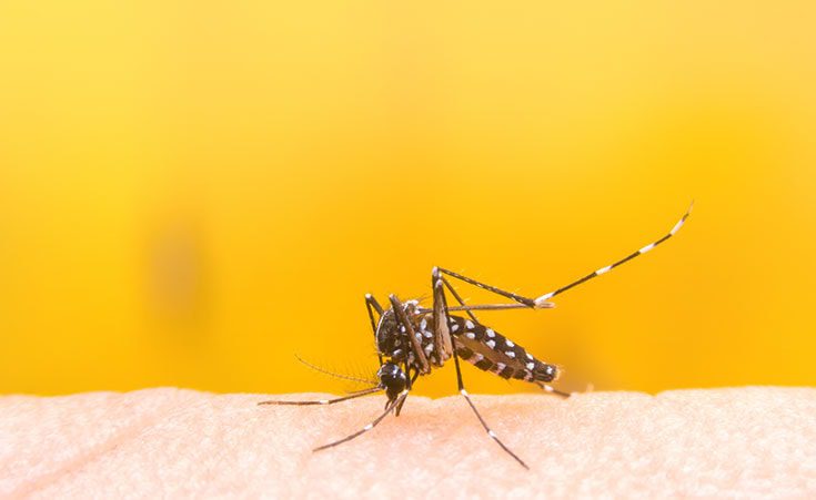 post_dengue